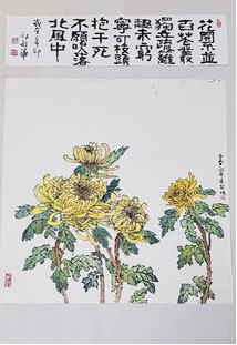 图片48.png